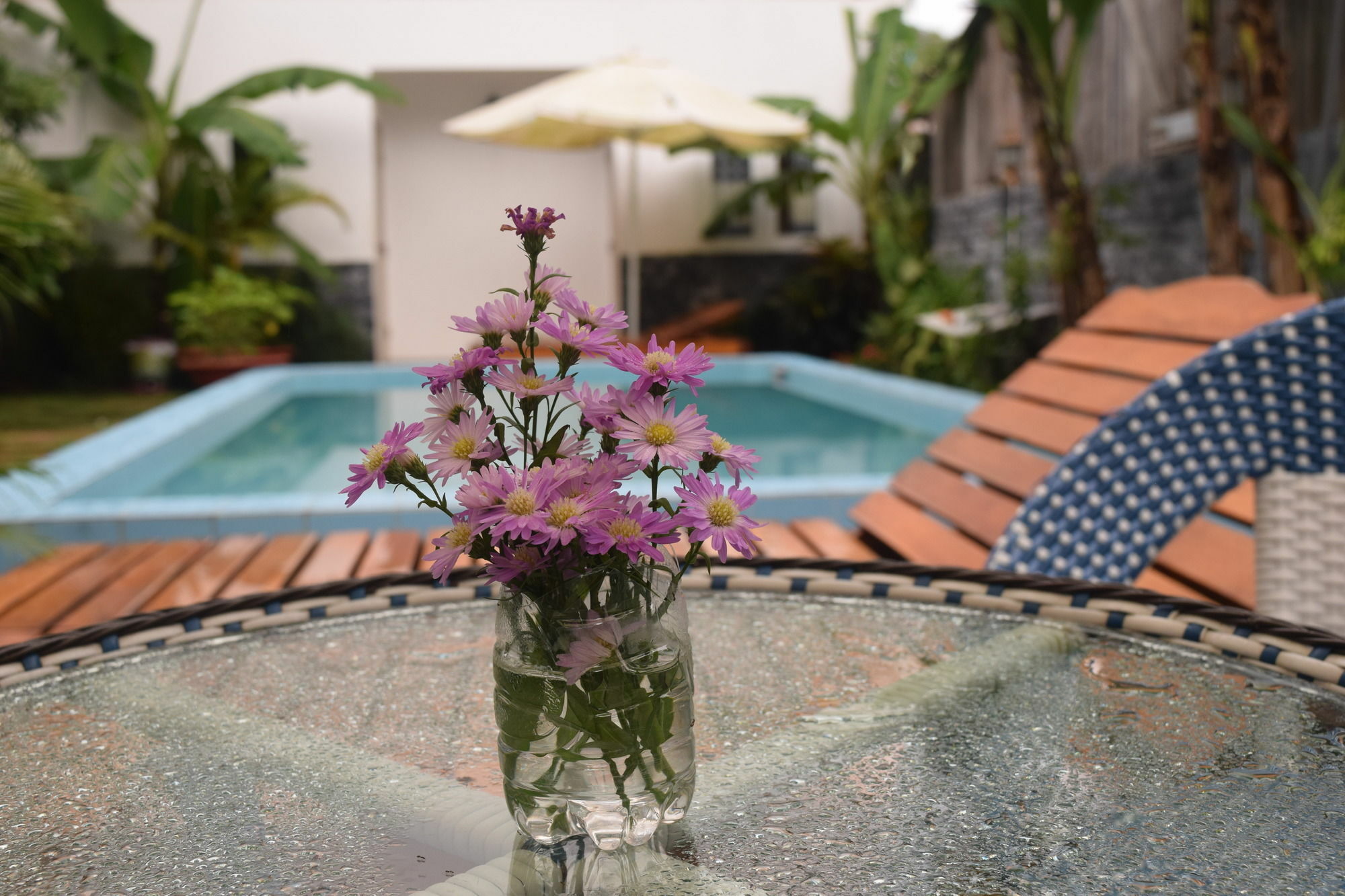 Orchid Guesthouse ฟู้โกว๊ก ภายนอก รูปภาพ